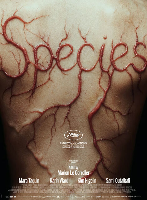 Un premier teaser pour Sanguine, le premier film d'horreur de Marion Le Corroller